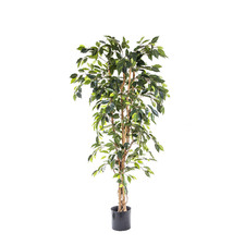 170cm Artificial Ficus Tree