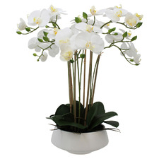 51cm White Potted Faux Orchid