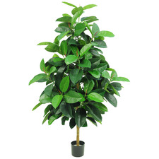 170cm Potted Faux Rubber Tree