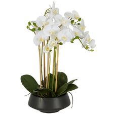51cm Potted Faux Orchid