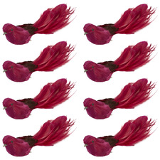 Feathered Bird Christmas Tree Clips (Set of 8)