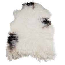 Icelandic Sheep Dalmation Rug