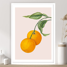 Oranges Printed Wall Art