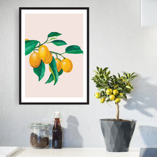 Cumquats Printed Wall Art
