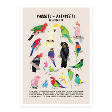 Parrots & Parakeets Of Australia Printed Wall Art