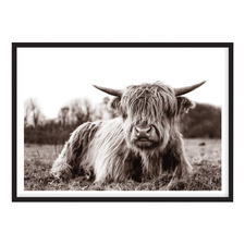 Scottish Highland Sepia Printed Wall Art