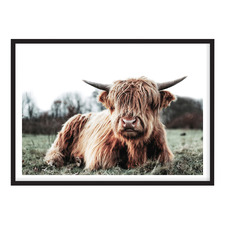 Scottish Highland Cow Printed Wall Art