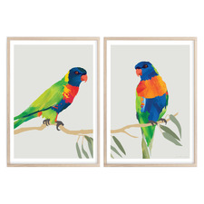 Lorikeets Printed Wall Art Diptych