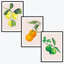 Citrus Fruits Printed Wall Art Triptych