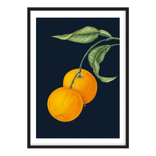 Oranges Indigo Printed Wall Art