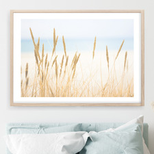 In The Dunes Printed Wall Art