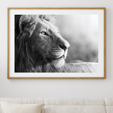 King of Beasts Printed Wall Art