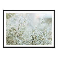 Naturally Organic Printed Wall Art