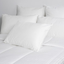 Luxe Junior Cotton Pillow