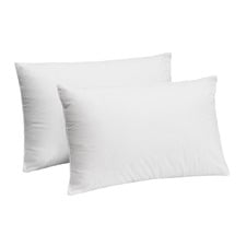 Good Night Firm Standard Pillows (Set of 2)