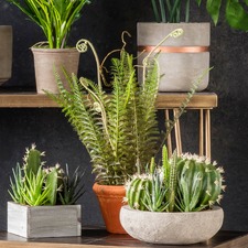 50cm Faux Potted Wild Fern