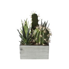 21cm Faux Cactus Collection in Wood Crate