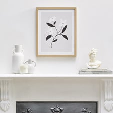 Daisies In Bloom Framed Paper Print Wall Art