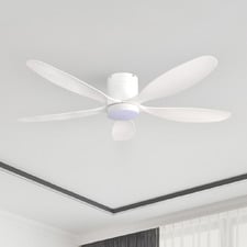 Winona 132cm AC Low Profile Smart Ceiling Fan with LED Light