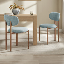Derry Chenille Dining Chairs (Set of 2)