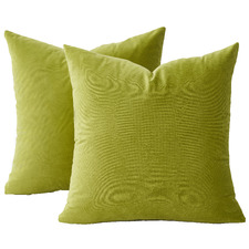 Adeline Velvet Cushion Covers (Set of 2)