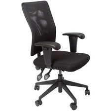 Black Gordana Mesh Adjustable Task Chair