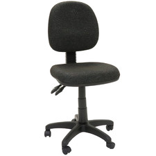 Gordana Medium Back Adjustable Task Chair