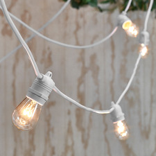 Outdoor Festoon Lights