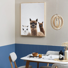 Alpaca Friends Framed Canvas Wall Art