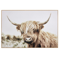 Shaggy Cow Framed Canvas Wall Art