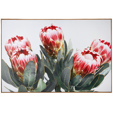 Protea Bunch Framed Canvas Wall Art