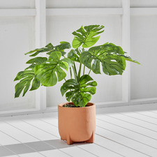 60cm Potted Faux Monstera Plant