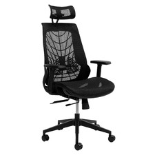 Black Net Ergonomic Office Chair with Lumbar Support