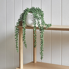 38cm Potted Faux String of Pearls Plant
