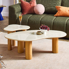 Iggy Freeform Marble Coffee & Side Table Set