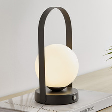 25cm Whitely Portable LED Touch Lamp