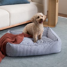 Stripe Frankie Dog Bed
