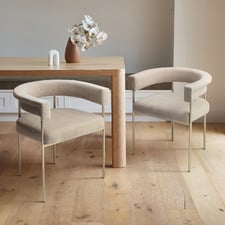 Tamara Chenille Dining Chairs (Set of 2)