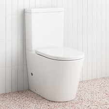 Delta Straight Back to Wall Toilet Suite