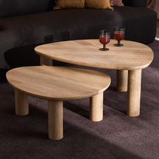 2 Piece Nolan Nesting Coffee Table Set