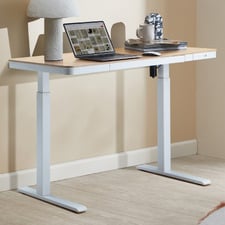 Leo Sit & Stand Desk with Wireless Charging Station