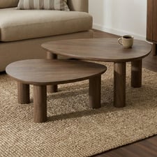 2 Piece Nolan Nesting Coffee Table Set