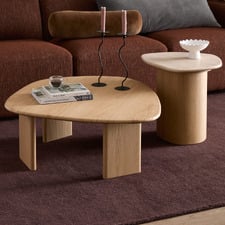 2 Piece Ari Freeform Side & Coffee Table Set