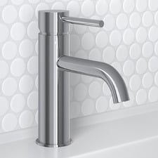 Carson Basin Mixer
