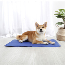 Blue Pet Cooling Mat