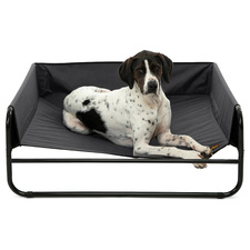 High Walled Outdoor Trampoline Dog Bed