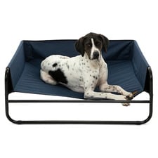 High Walled Outdoor Trampoline Dog Bed