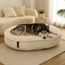 Cloud Orthopaedic Dog Bed