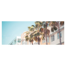 Miami Palms Stretched Canvas Wall Art