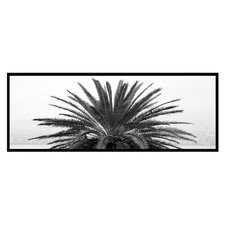 Black & White Palm Framed Canvas Wall Art